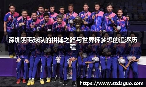 深圳羽毛球队的拼搏之路与世界杯梦想的追逐历程