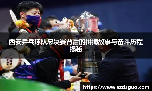 西安乒乓球队总决赛背后的拼搏故事与奋斗历程揭秘